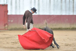 Academia de Toureio do Campo Pequeno na Ganadaria “ Benjumea”
